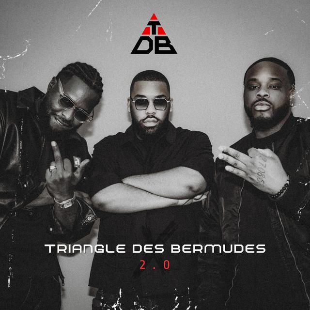 Album cover art for Triangle Des Bermudes 2.0