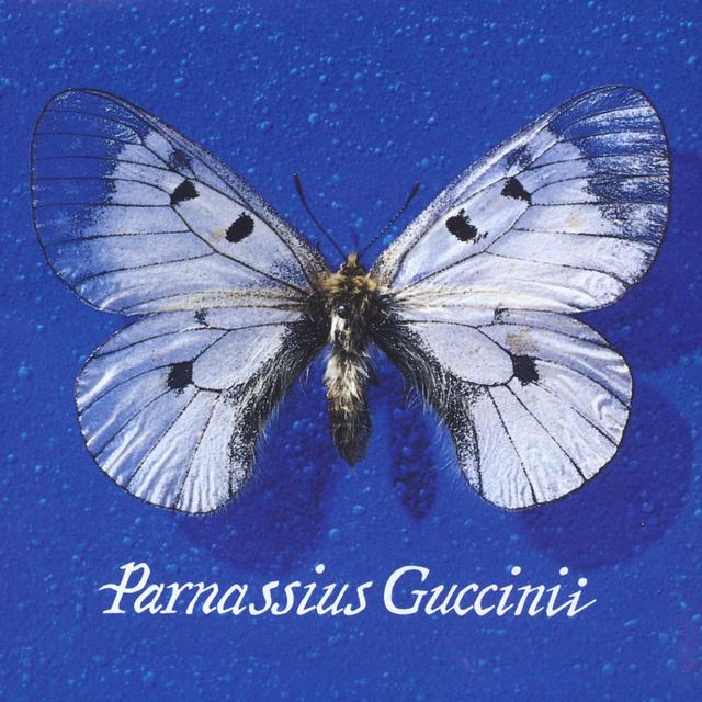 Album cover art for Parnassius Guccinii