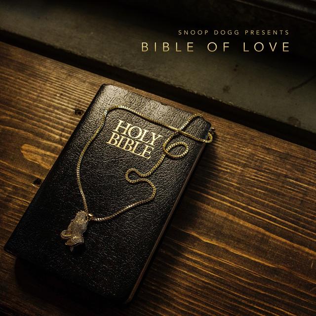 Album cover art for Bible of Love