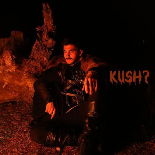 Album cover art for Kush?