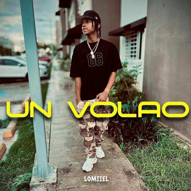 Album cover art for UN VOLAO