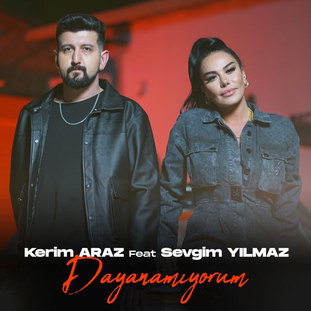 Album cover art for Dayanamıyorum