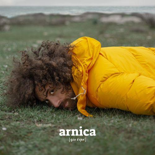 Album cover art for Arnica