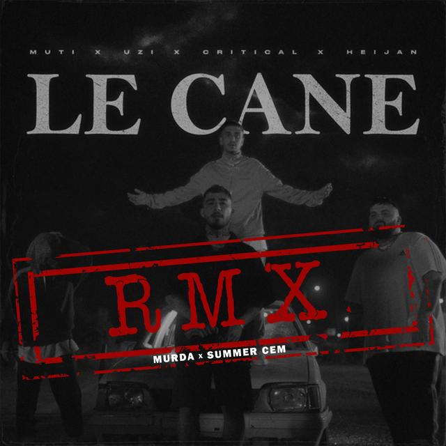 Album cover art for LE CANE