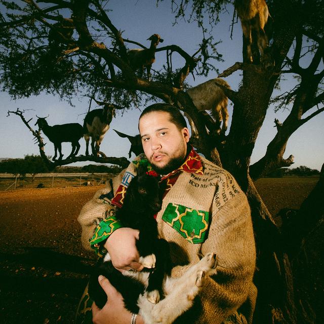 Album cover art for Takket være livet
