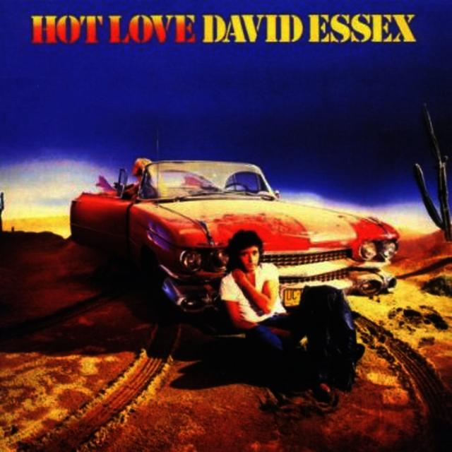 Album cover art for Hot Love