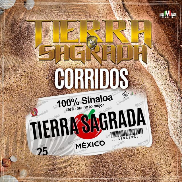 Album cover art for Corridos 100% Sinaloa