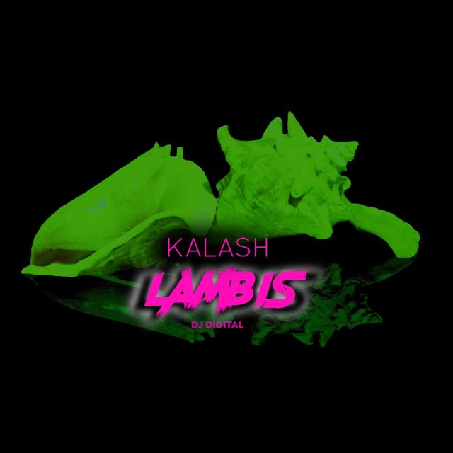 Album cover art for Lambis - Single