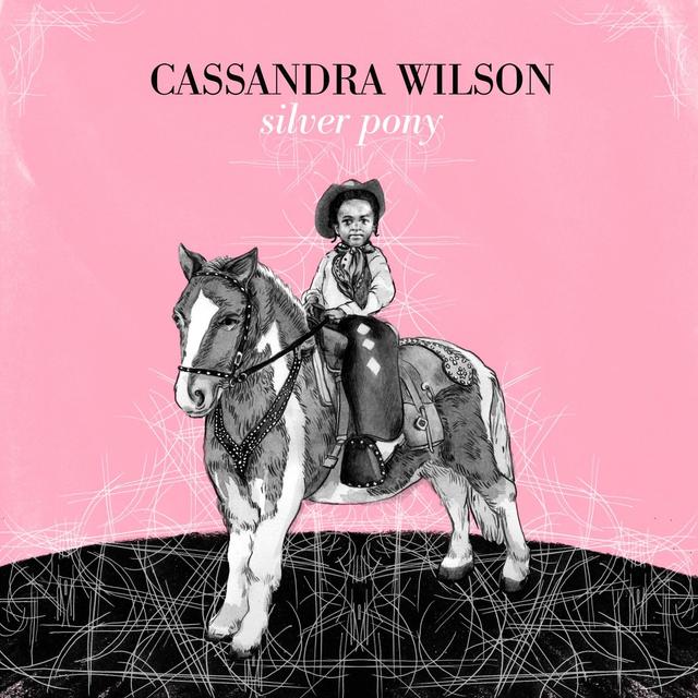 Album cover art for Silver Pony