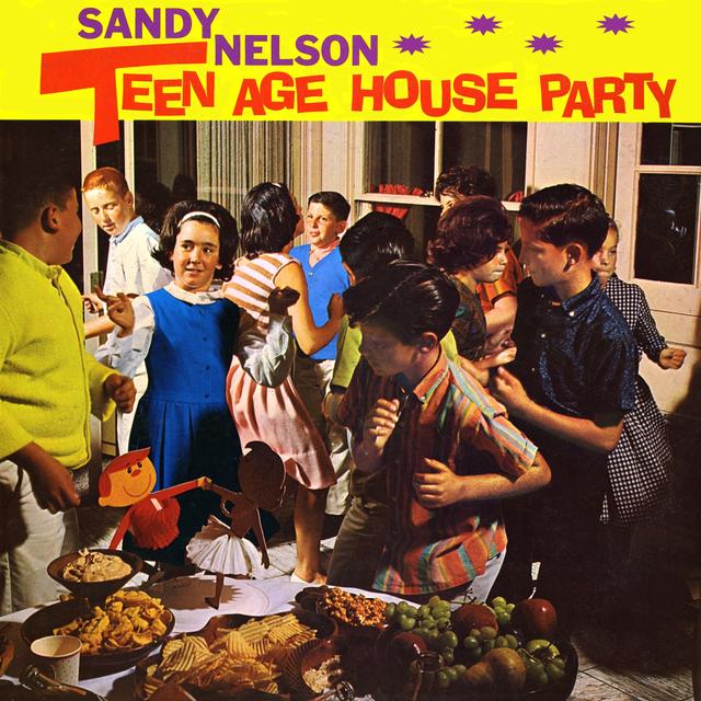 Album cover art for Teen Age House Party