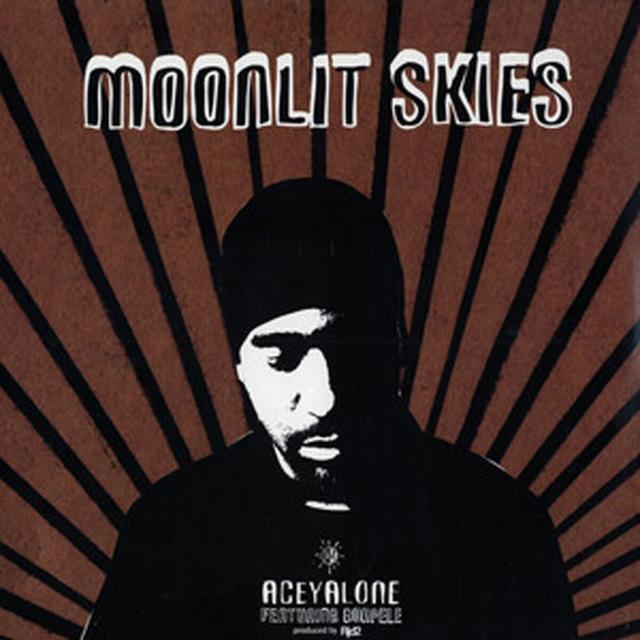 Album cover art for Moonlit Skies