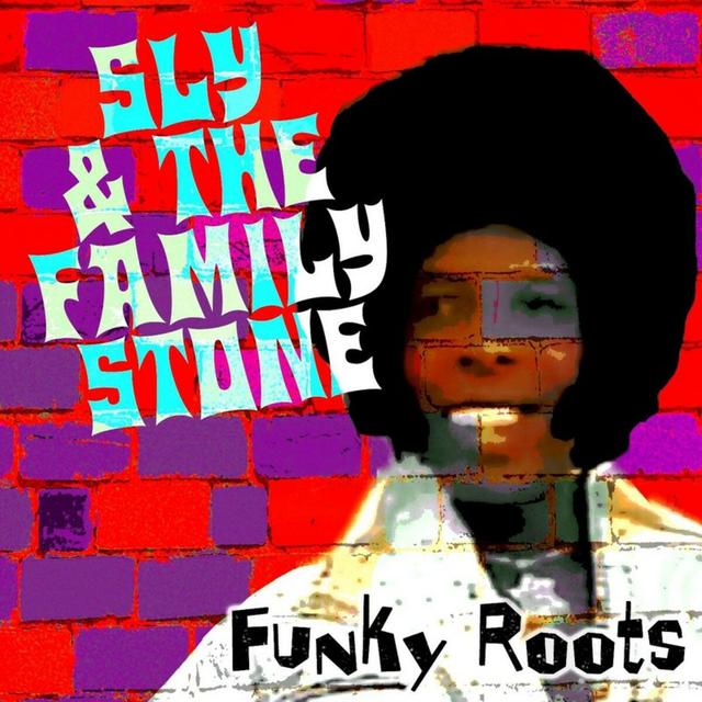 Album cover art for Funky Roots