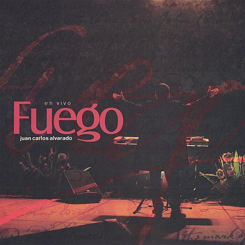 Album cover art for Fuego