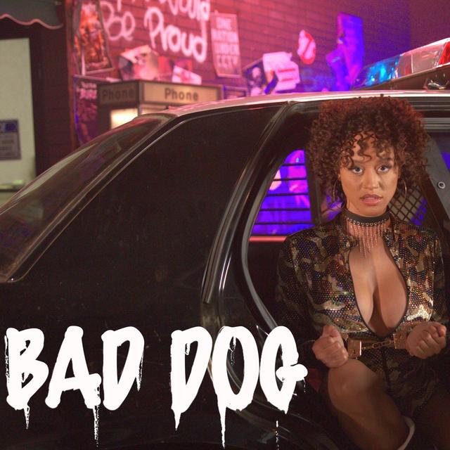 Album cover art for Bad Dog