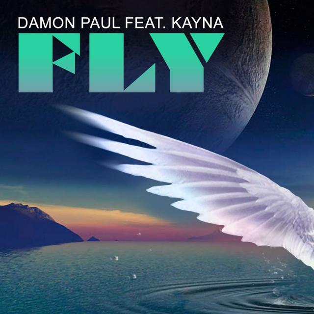 Album cover art for Fly