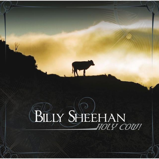 Album cover art for Holy Cow