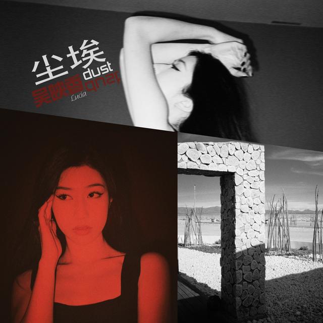 Album cover art for 尘埃