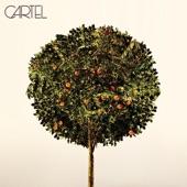 Album cover art for Cartel