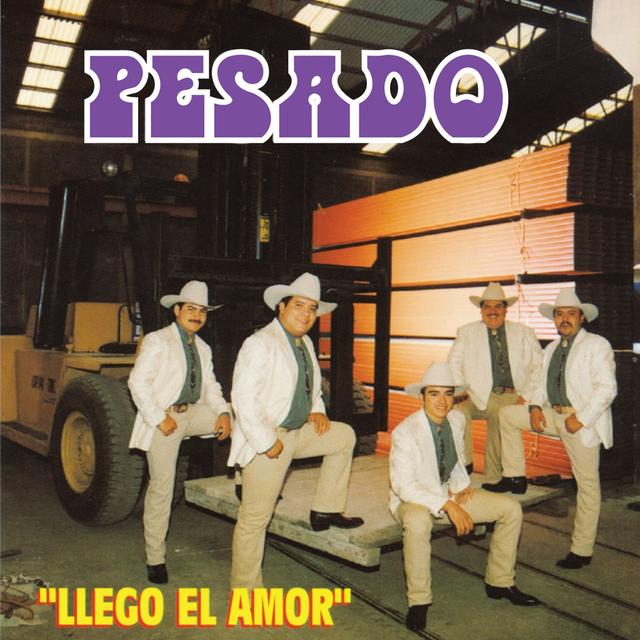 Album cover art for Llego El Amor