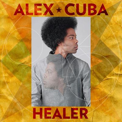 Album cover art for Healer