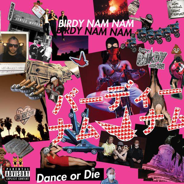 Album cover art for Dance or Die