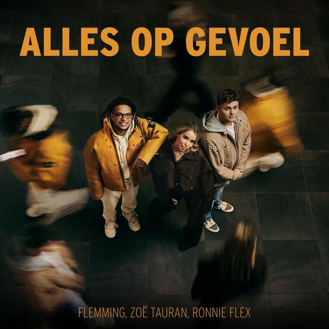 Album cover art for Alles Op Gevoel