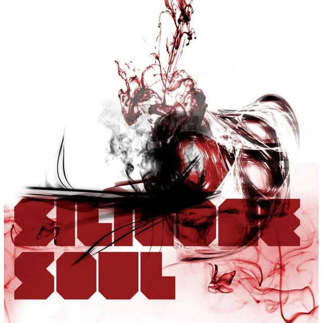 Album cover art for Silicone Soul