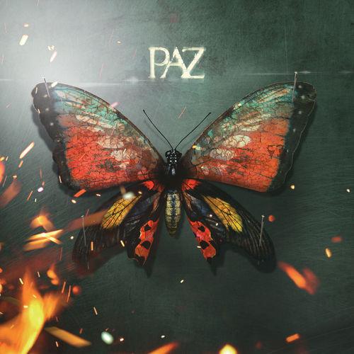 Album cover art for Paz