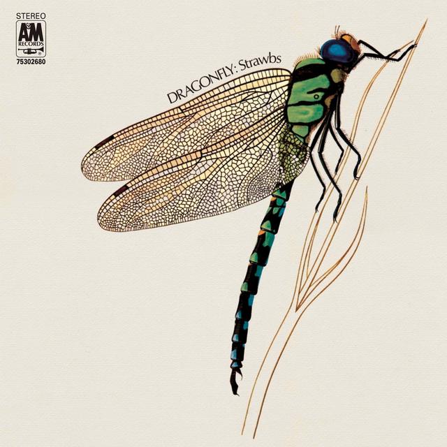 Album cover art for Dragonfly