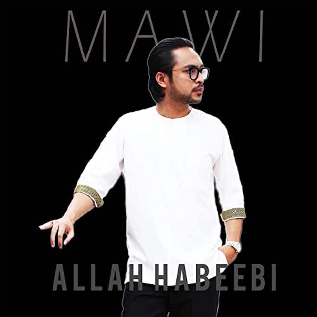 Album cover art for Allah Habeebi