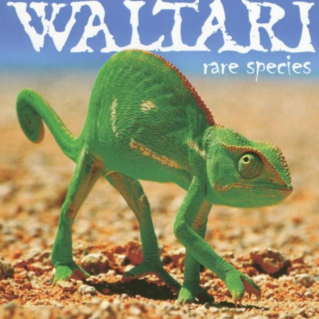 Album cover art for Rare Species