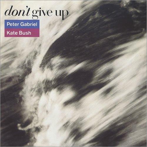 Album cover art for Don't Give Up