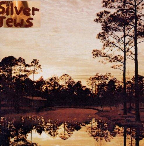Album cover art for Starlite Walker