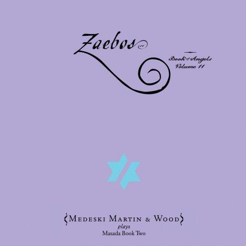 Album cover art for Zaebos : The Book Of Angels Volume 11