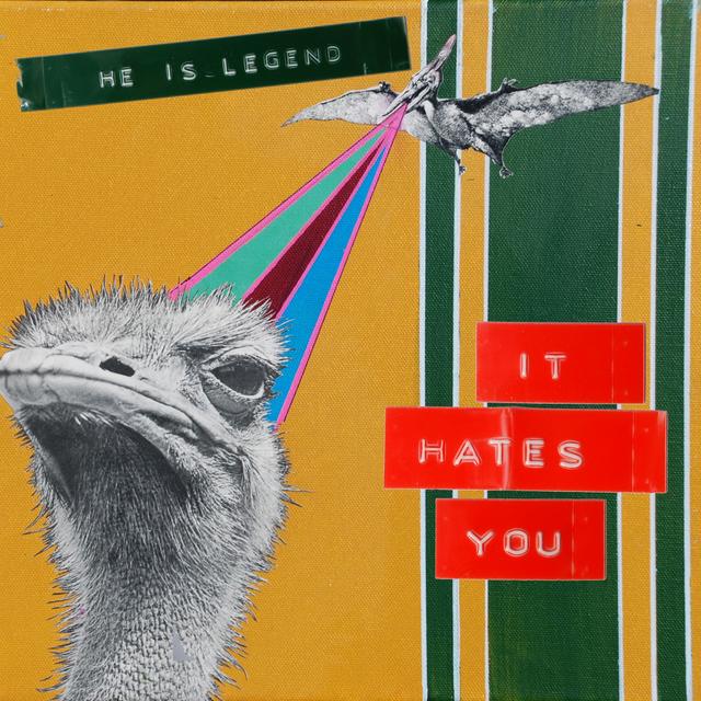 Album cover art for It Hates You