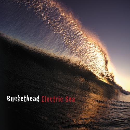 Album cover art for Electric Sea