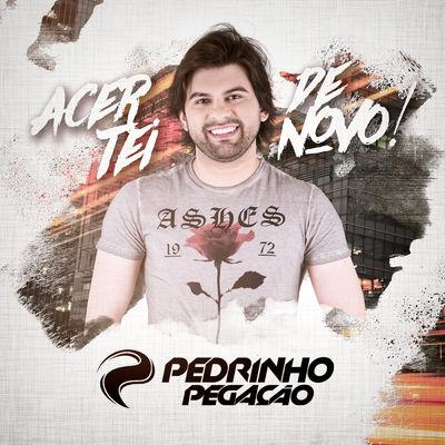 Album cover art for Acertei de Novo - EP (Ao Vivo)