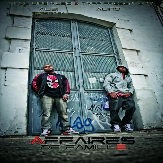 Album cover art for Affaires De Famille