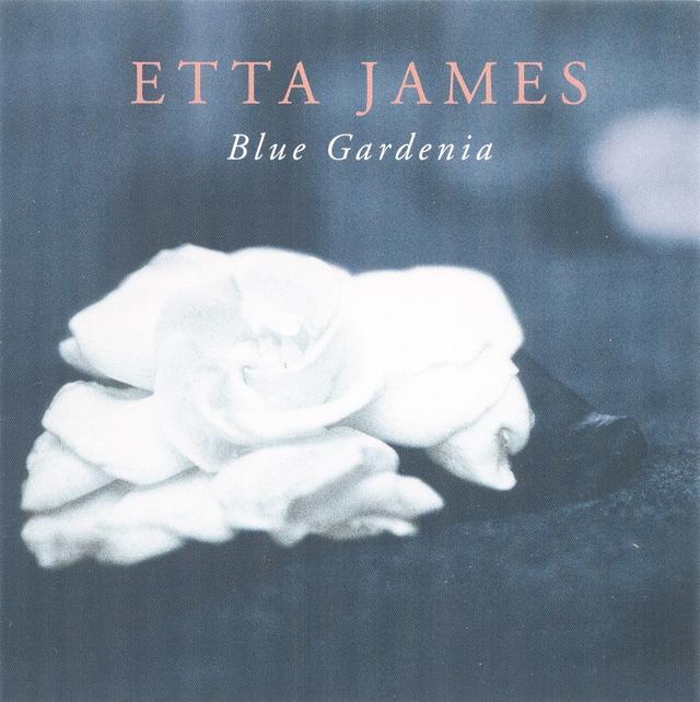 Album cover art for Blue Gardenia