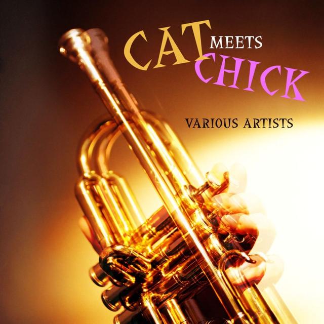 Album cover art for Cat Meets Chick