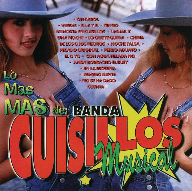 Album cover art for Las 16 Grandes De Cuisillos