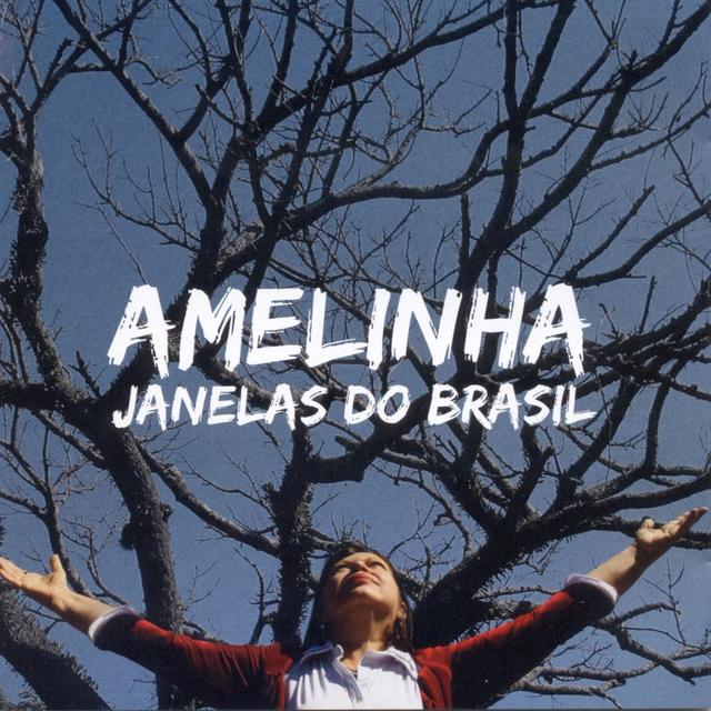 Album cover art for Janelas do Brasil