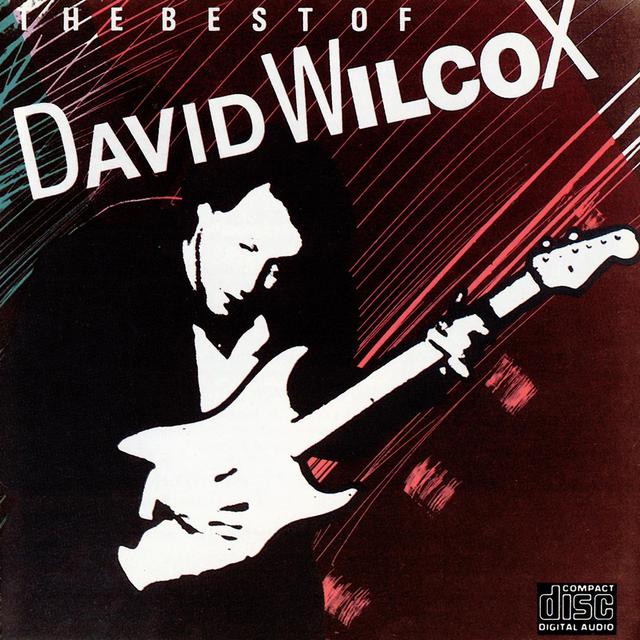 Album cover art for The Best Of David Wilcox