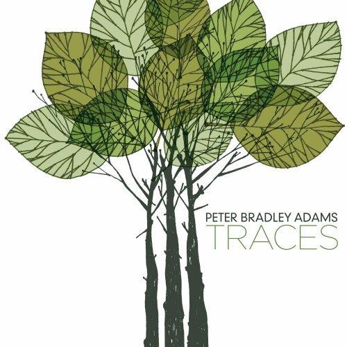 Album cover art for Traces