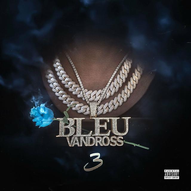 Album cover art for Bleu Vandross 3