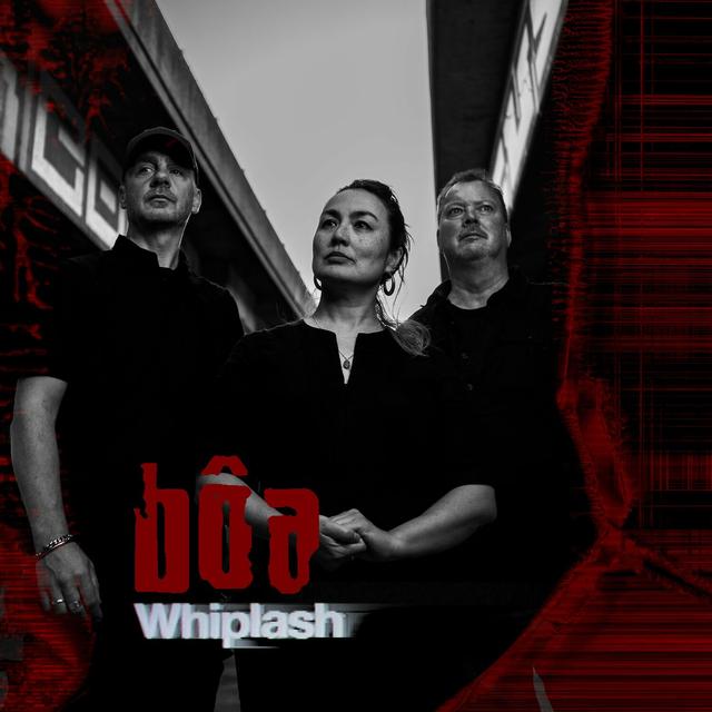 Album cover art for Whiplash