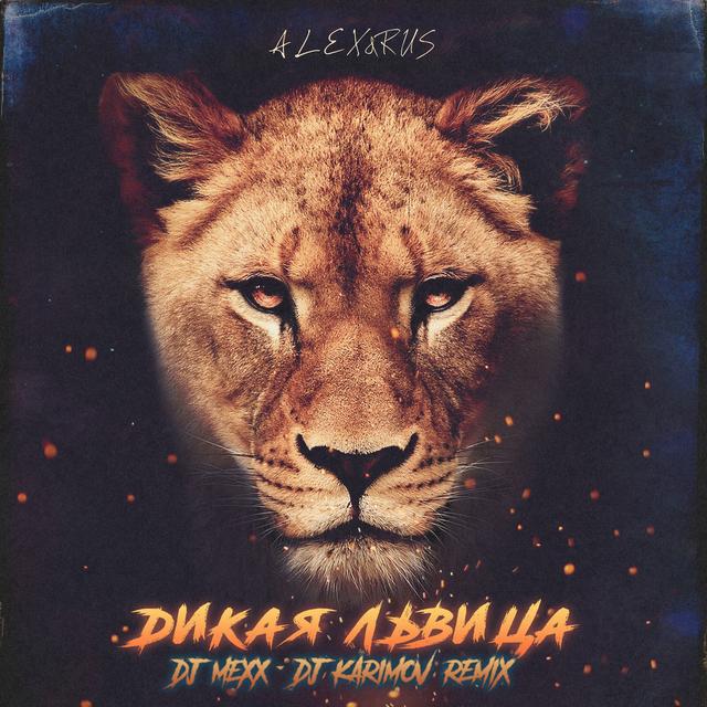 Album cover art for Дикая львица