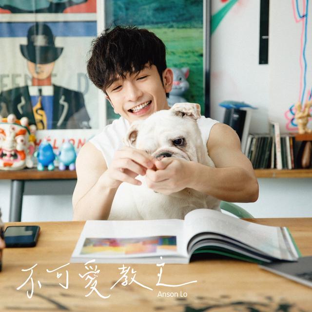 Album cover art for 不可愛教主