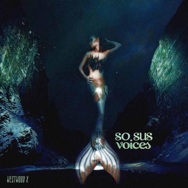 Album cover art for Voices