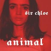 Album cover art for Animal